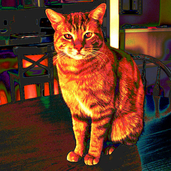 LEGO MasterBuilder Cat - a tan male cat with orange eyes